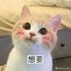 百度用户UID2815334143 megumi0 null 的头像