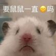百度用户UID3181691530 null 一拳打爆整个🌐 的头像