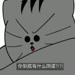 百度用户UID816506237 开枪就爆头 Insideº 的头像