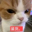 百度用户UID6541016116 null 下雨天气. 的头像