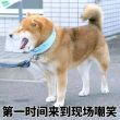 百度用户UID3469921223 胡颓然 胡颓然- 的头像