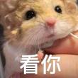 百度用户UID670192133 纠结着EX 湖医🐭🐭 的头像