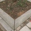 百度用户UID3499852284 lizilong1766 null 的头像
