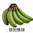 百度用户UID1529606761 drum负初 贴吧用户_QPWe3b4 的头像
