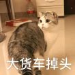 百度用户UID3523329597 灼红的长发 将沉 的头像