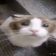 百度用户UID6939558299 jghjgjhgj33 旧梦z千寻h 的头像