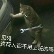 百度用户UID2435164141 合伙睡 明月星尘º 的头像