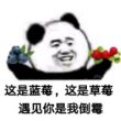 百度用户UID1507431009 买节操回家喂狗 null 的头像