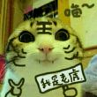 百度用户UID4689053 auto游侠 null 的头像