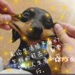 百度用户UID1925738187 皆是一定数 null 的头像