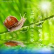 百度用户UID685768502 裸逩的蝸汼帝 null 的头像