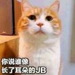 百度用户UID923772304 云一點丶 云一点 的头像