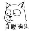 百度用户UID50536594 爱睿的媛 那些小时光🌸 的头像
