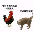百度用户UID6107200753 null 小满° 的头像