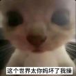 百度用户UID5506080200 老银桑258 仿生虚拟电子鳄 的头像