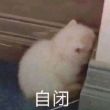 百度用户UID5908864724 小瑾瑾666 你的命运里面没有我的一席之地吗 的头像