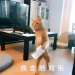 百度用户UID5736256112 双鱼越过山巅 小时小时小时 的头像