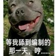 百度用户UID6932396193 红壤新声 null 的头像