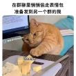 百度用户UID7912834 灰花匠 null 的头像