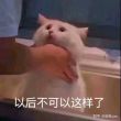 百度用户UID1361968373 呃好逗 乃琳小姐火锅加冕 的头像