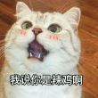 百度用户UID2719178144 可爱小肉丸儿 舔狗猎🐴人 的头像