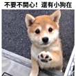 百度用户UID4328837062 伊甸就在你眸中 丐帮某人 的头像