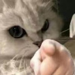 百度用户UID4422887172 小学生13156 null 的头像