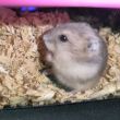 百度用户UID6011074531 秦山路小宝莉 null 的头像
