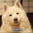 百度用户UID2779115302 一般路过LD桑 一般路过LD℃ 的头像