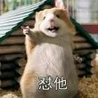 百度用户UID6529049778 水星的萌新 攻击性强的坏坏 的头像