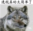 百度用户UID4719939851 null 音质OK绘制哦 的头像