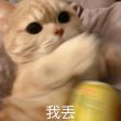 百度用户UID1079911306 追朔时光 脾气大- 的头像