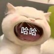 百度用户UID934083286 永恒DE神技 ♬律者♬ 的头像