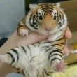 百度用户UID772029946 TEL13127707648 null 的头像