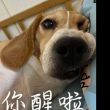 百度用户UID5014210749 爱吃糖的魔法师 null 的头像