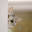 百度用户UID3312721122 天才小熊猫DoDo 我不开心会死 的头像