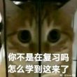 百度用户UID1622762383 XuLiHong000507 雪菜_x 的头像