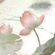 百度用户UID2615781866 守护音符甜甜圈 null 的头像