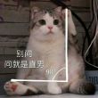 百度用户UID998745436 纯洁的似2哈 贴吧用户_0DEZ4t3 的头像