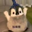 百度用户UID894150309 如此果样 二游痴跪下😳 的头像