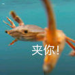 百度用户UID5893831599 孙想_V5qa 烙饼深海拉面 的头像
