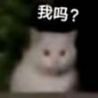 百度用户UID6682565146 prototyp0 夏昭舞 的头像