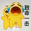 百度用户UID4650084479 松雪照无痕 浮梁º 的头像
