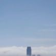 百度用户UID1736097636 狗仔队635 大道至简weili 的头像