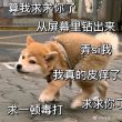 百度用户UID6403454457 境界线上的咸鱼 null 的头像