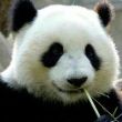 百度用户UID1644188452 Z字魂殇 地表走尸-0℃ 的头像
