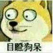 百度用户UID1916925934 Dana1287 Danalynn 的头像