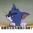 百度用户UID1094693442 野生大雄猫 麻辣Tom😺 的头像