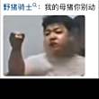 百度用户UID6480270158 好想悉尼小学 法抗是满的物抗是负的 的头像