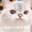 百度用户UID5094208121 free萧小渊源 萧小渊源 的头像
